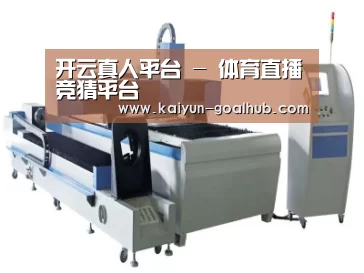 产品名称十一