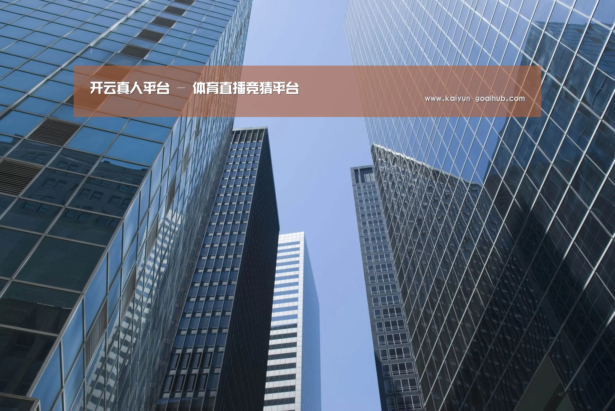 开云真人平台公司简介 