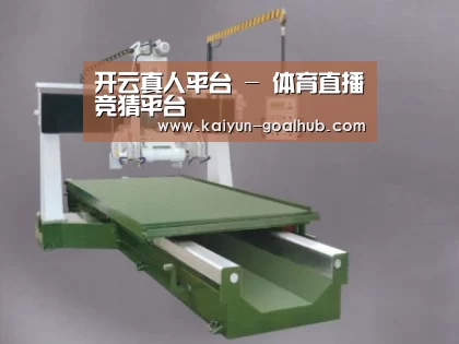 产品名称十