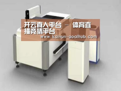 产品名称十五