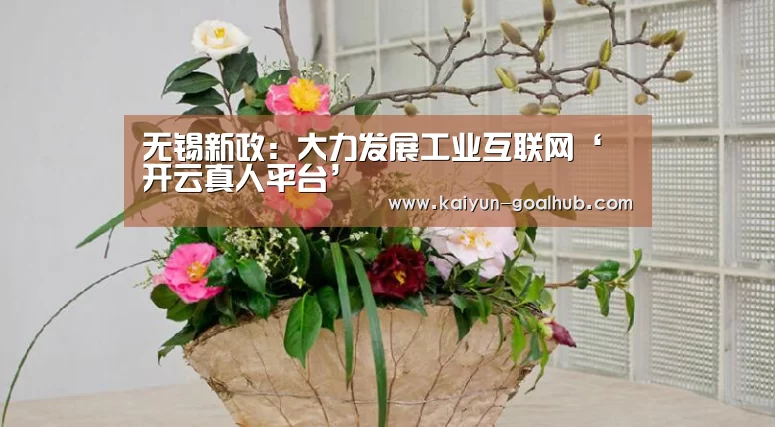 无锡新政：大力发展工业互联网‘开云真人平台’