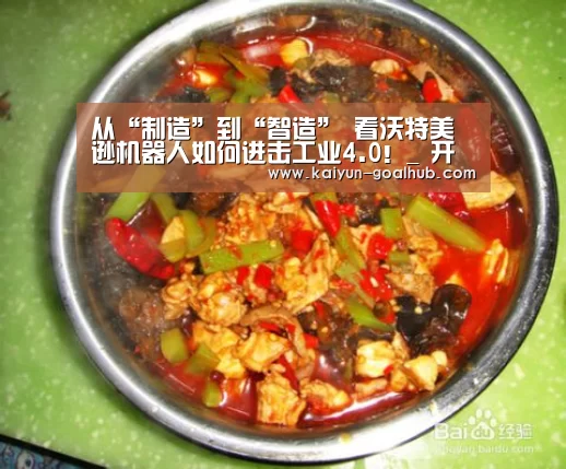 从“制造”到“智造” 看沃特美逊机器人如何进击工业4.0！_ 开云捕鱼