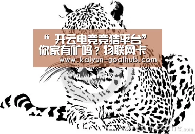 开云真人平台