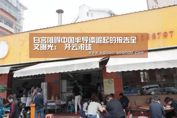 白宫阻碍中国半导体崛起的报告全文曝光: 开云滚球(图3) 开云捕鱼