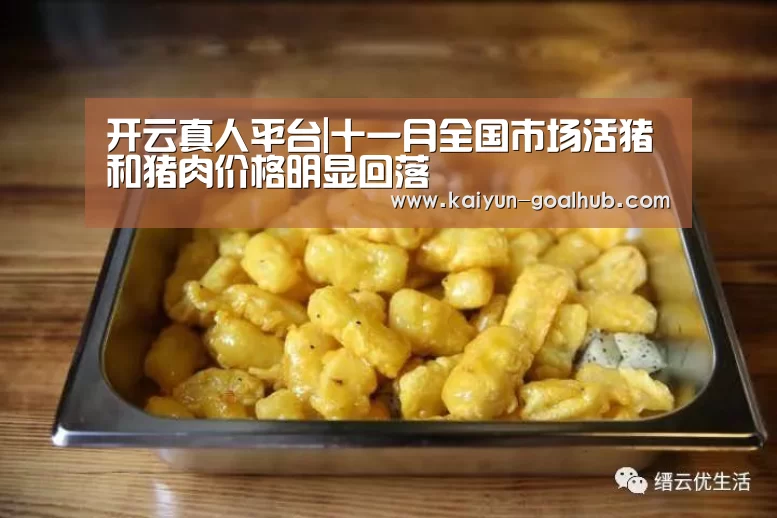  开云捕鱼