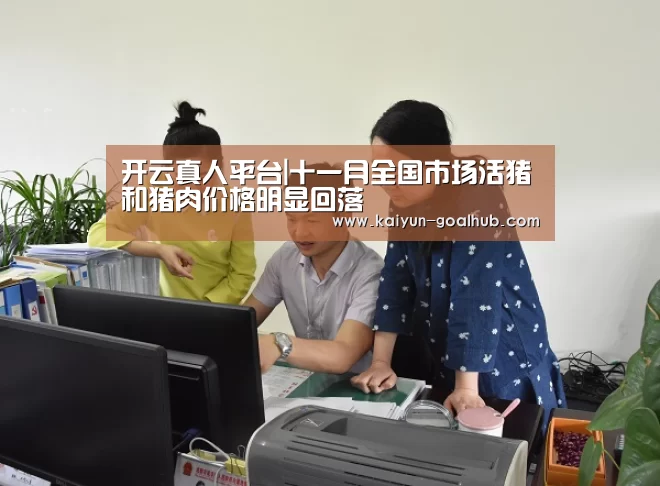 开云真人平台|十一月全国市场活猪和猪肉价格明显回落