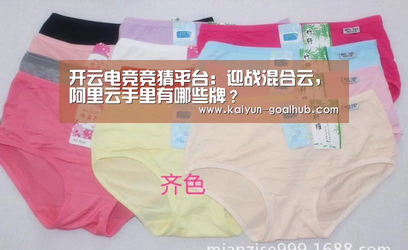  开云电竞竞猜平台：迎战混合云，阿里云手