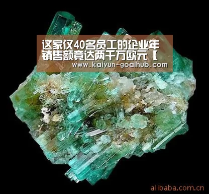 这家仅40名员工的企业年销售额竟达两千万欧元【 开云捕鱼】