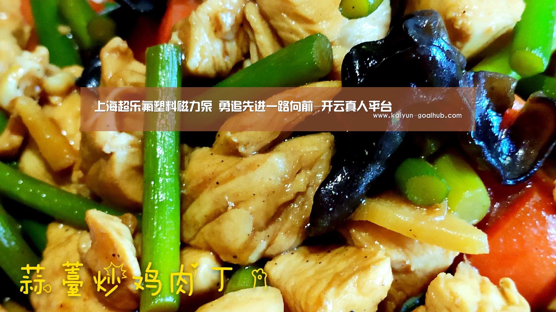 上海超乐氟塑料磁力泵 勇追先进一路向前-开云真人平台(图3) 开云电竞竞猜平台
