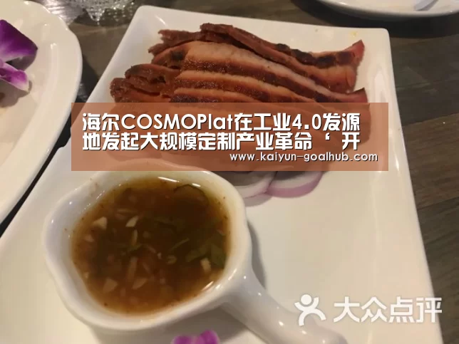 海尔COSMOPlat在工业4.0发源地发起大规模定制产业革命‘ 开云捕鱼’